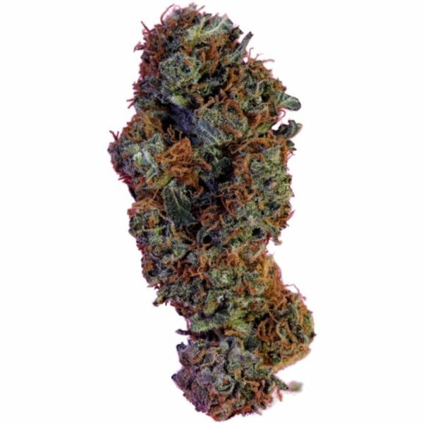 *VIP* California Granddaddy Purple -G- Indoor CBD Blüten 10g